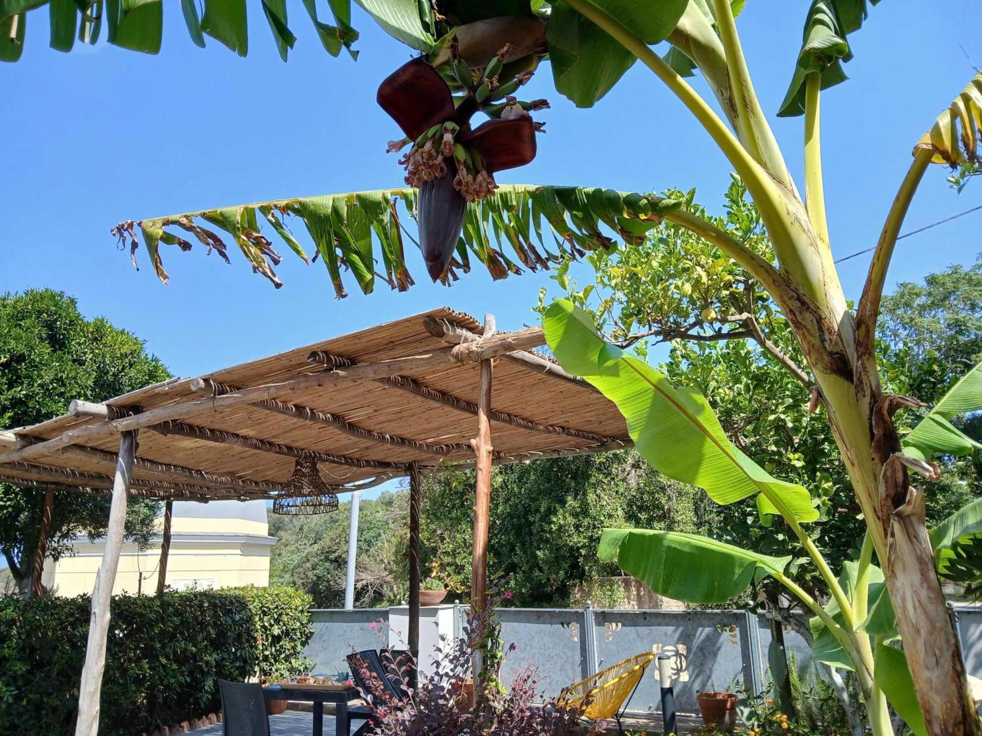 Sonnino B&B Redang Island Oda fotoğraf